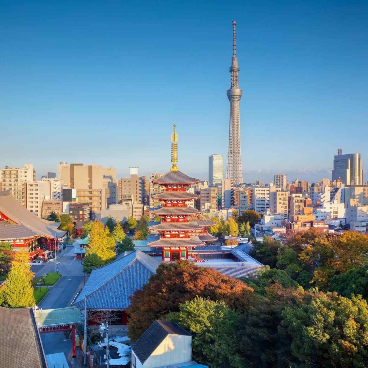 https://moroccotourspackage.com/wp-content/uploads/2018/09/destination-tokyo-04-1-1280x1280.jpg