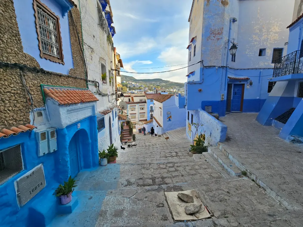 A blue-washed lane in the Chefchaouen medina
