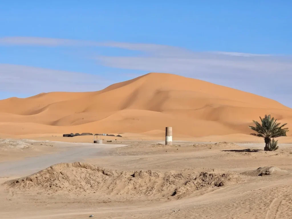The tall orange dunes of Erg Chebbi near Merzouga under a pale blue sky, a lone palm at their foot