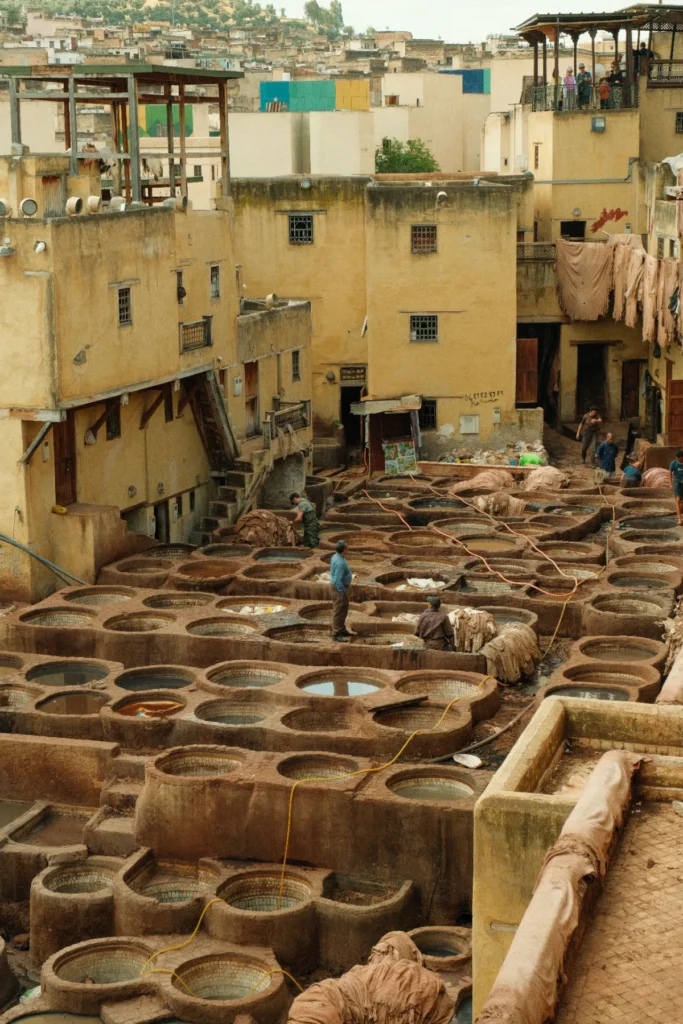 The Chouara tannery in Fes, with leather drying beside the stone dye pits