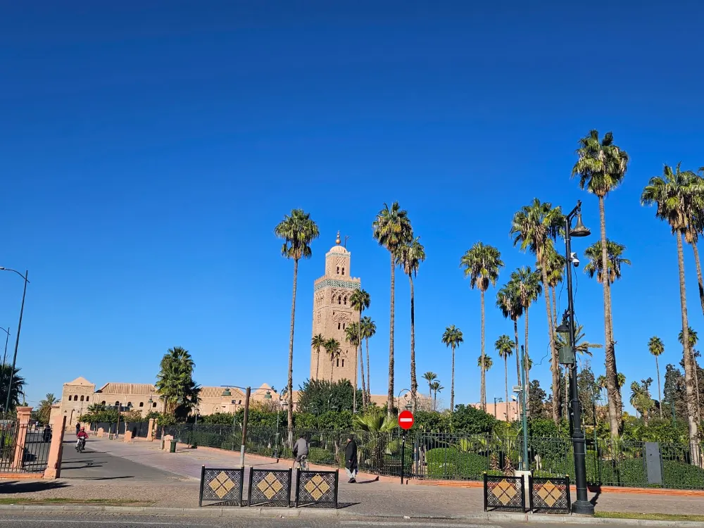 The Koutoubia Mosque minaret in Marrakech behind a row of palm trees