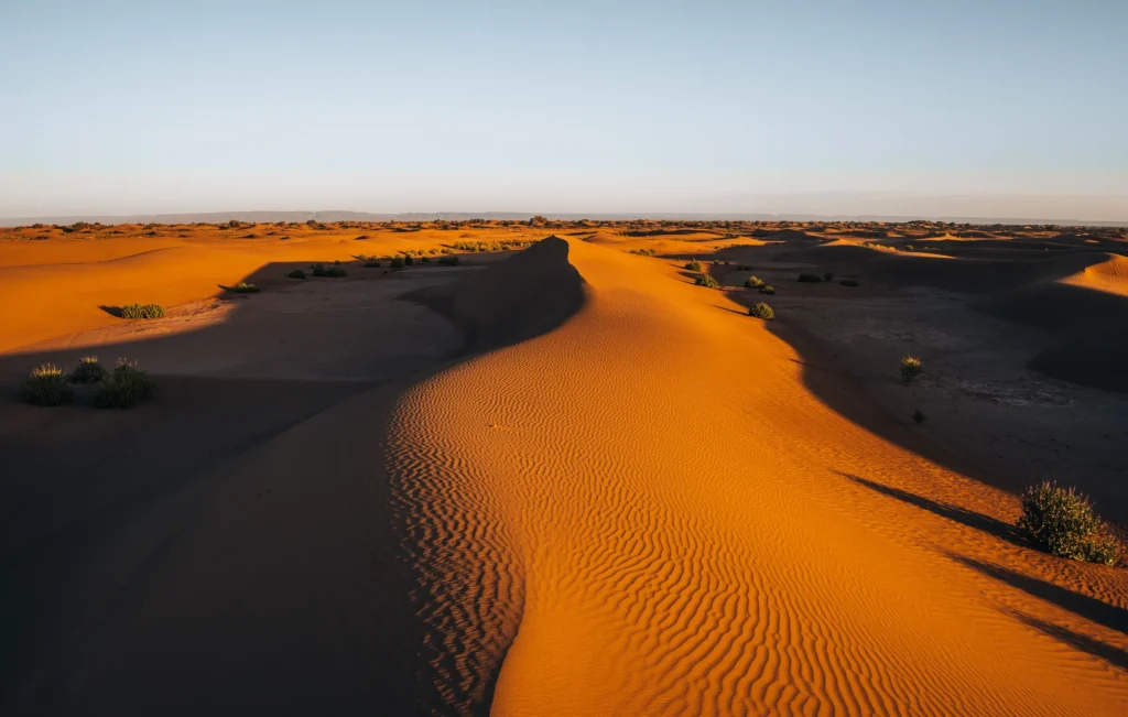 Sahara sand dunes in Morocco at sunrise, a rippled ridge leading to the horizon